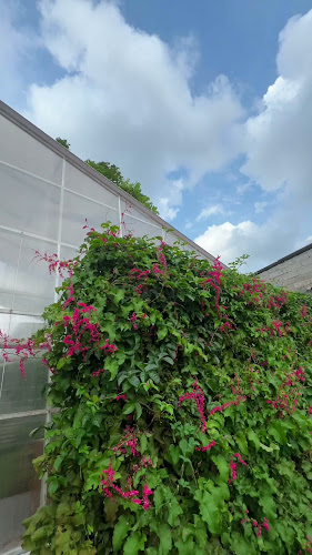 Opinii despre Tanasurga restaurant, cafe, garden and less waste organic store în Kota Salatiga - Gastronomi dan perhotelan