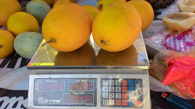 X8HJ+7CV, Mariana, Kec. Pontianak Kota, Kota Pontianak, Kalimantan Barat 78244