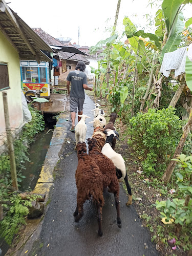 Aqiqah & qurban Kota Tasikmalaya