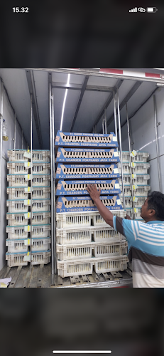 Comentarii opinii despre Dulluthfi Farm,Distributor pusat pembelian pakan/DOC-DOD nusantara