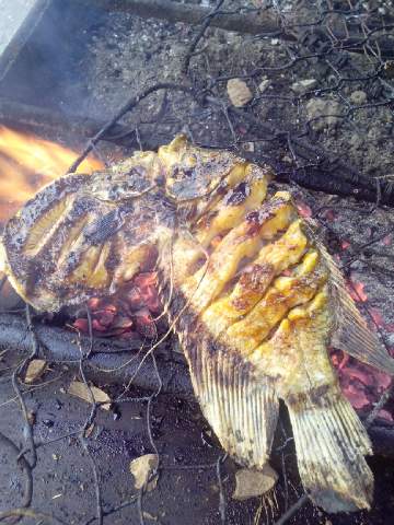 Opinii despre Ikan Bakar Khas Lampung în Kabupaten Lampung Selatan - Gastronomi dan perhotelan