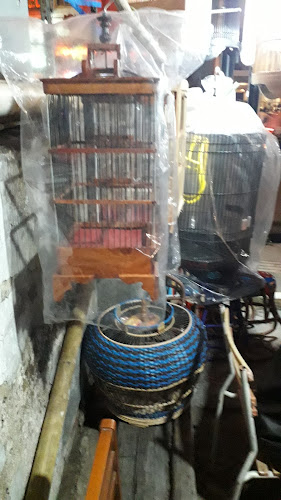 Opinii despre JL.RAYA CILEGON SEBRANG HOTEL DINASTY BINTANG SWALAYAN (RUKO INUL VIZTA) în Kota Cilegon - Gastronomi dan perhotelan