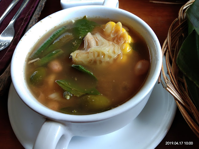 MP Lasagna Gulung - Kota Bogor