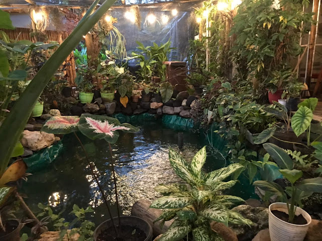 Opinii despre Garita Garden Cafe în Kota Malang - Gastronomi dan perhotelan