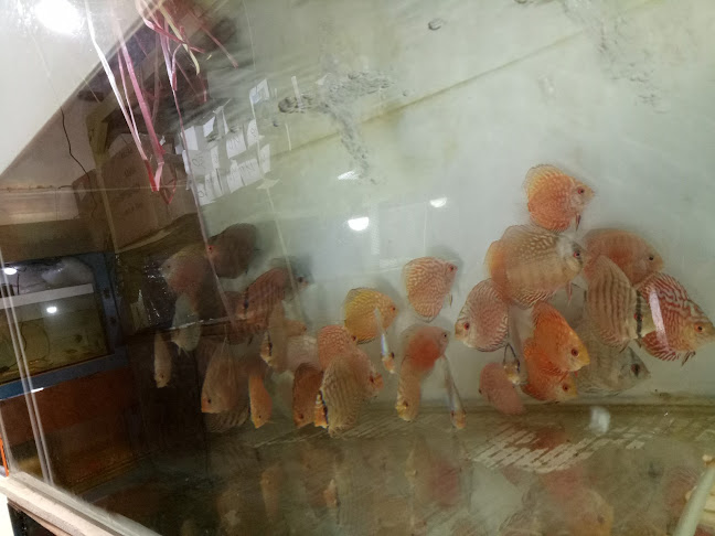 Seblak Merapi - Kota Lubuklinggau