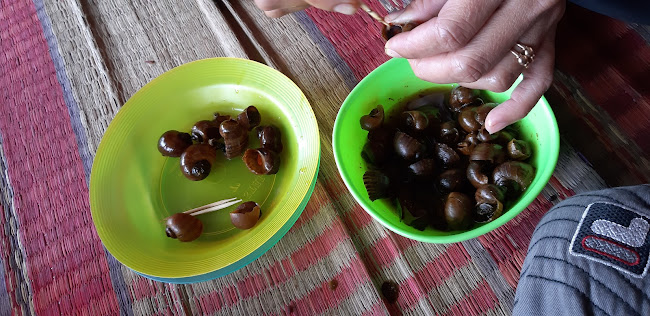 Jl. Punclut No.571, Ciumbuleuit, Kec. Cidadap, Kota Bandung, Jawa Barat 40142