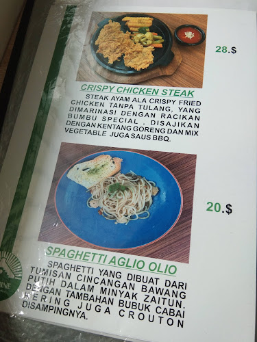 Comentarii opinii despre JT.SHINE