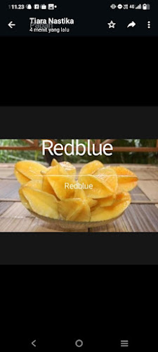 BELIMBING DEWA DEPOK - Kota Depok