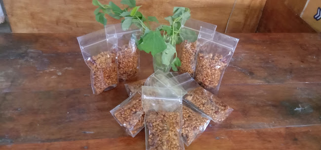 Jl. Cempaka No.23, Oro-oro Ombo, Kec. Kartoharjo, Kota Madiun, Jawa Timur 63119