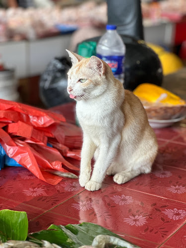 PASAR RAKYAT WAY HALIM - Kota Bandar Lampung