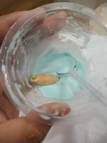 Comentarii opinii despre Ai-CHA Unila