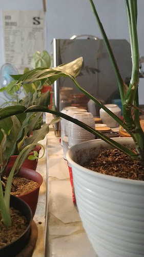 Opinii despre sasadakopi. Roastery & Slow Bar în Kota Medan - Gastronomi dan perhotelan