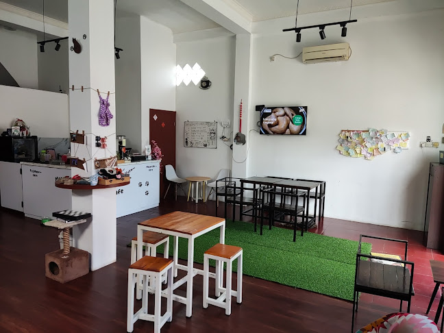 Cat'O Cafe Balikpapan - Kota Balikpapan