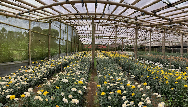 Opinii despre Greenhouse om Marten Manua în Kota Tomohon - Gastronomi dan perhotelan