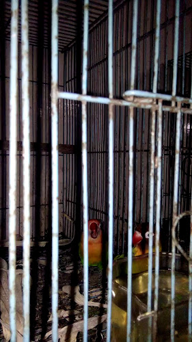 Jl. Panglima Aim No.78A, Saigon, Kec. Pontianak Tim., Kota Pontianak, Kalimantan Barat 78242