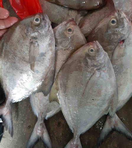 Comentarii opinii despre Mr.crab