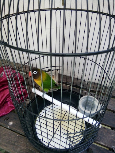 Opinii despre kedai coffee 21 în Kota Pontianak - Gastronomi dan perhotelan