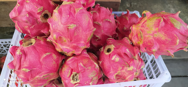 Opinii despre "KIOS BUAH - Queen Nazifa" în Kota Tarakan - Gastronomi dan perhotelan