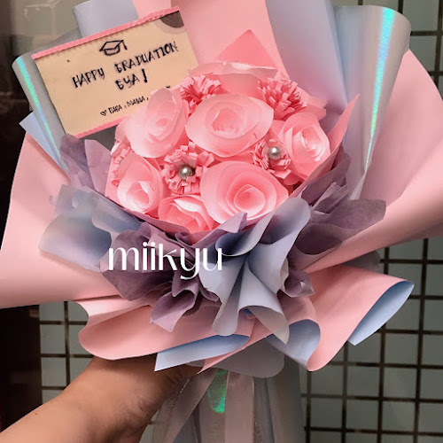 Comentarii opinii despre Miikyu