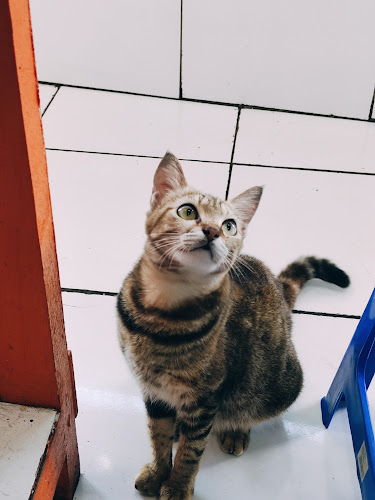 Warteg Kharisma Bahari Pasuruan - Gastronomi dan perhotelan