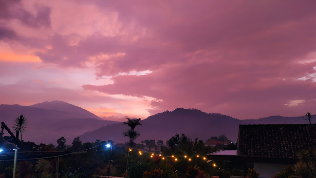 Opinii despre Garten Koffie în Kota Batu - Gastronomi dan perhotelan