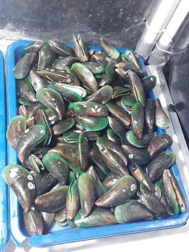 Kerang Ijo (PakLondo)