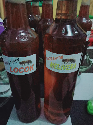 Vania Cookies - Gastronomi dan perhotelan