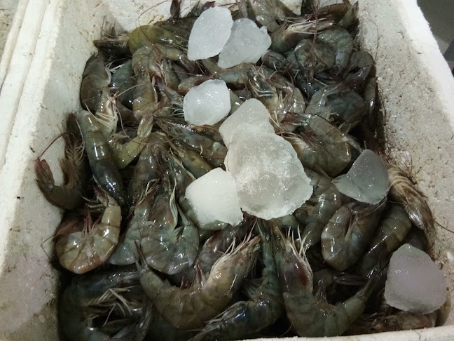 Jl. Ir. H. Alala No.76, Tipulu, Kec. Kendari Bar., Kota Kendari, Sulawesi Tenggara