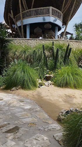 Opinii despre Hago Beach în Kota Denpasar - Gastronomi dan perhotelan