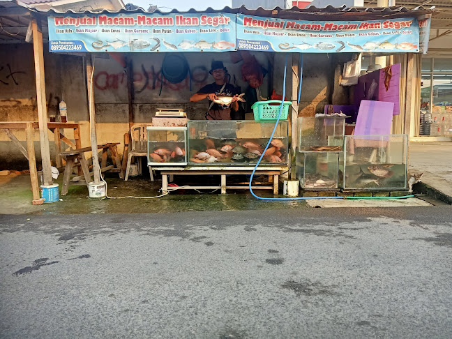 Jual macam-macam ikan segar