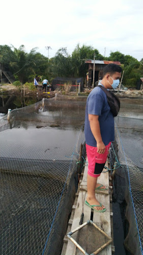 Comentarii opinii despre KERAMBA PAK WILLY