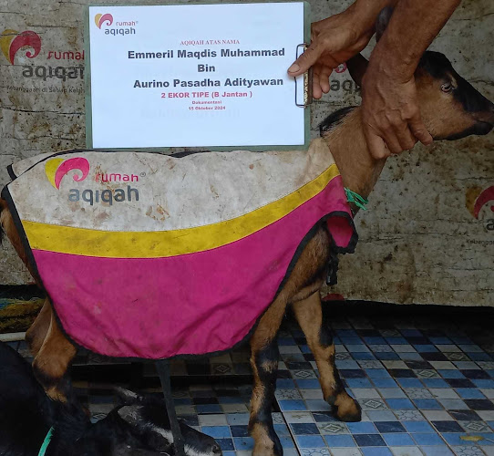 Rumah Aqiqah - Gastronomi dan perhotelan