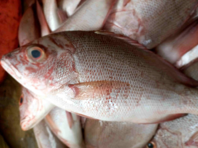 Mr.crab - Gastronomi dan perhotelan