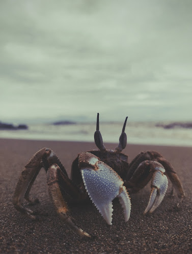 Waroeng Mami Papi - Kota Padang