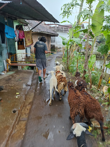 Aqiqah & qurban Kota Tasikmalaya - Gastronomi dan perhotelan