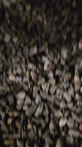 Opinii despre Cannu Coffee & Eatery în Kota Medan - Gastronomi dan perhotelan