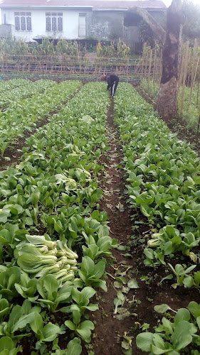 Comentarii opinii despre SUNROSE ORGANIC SHOP