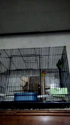 Comentarii opinii despre kedai coffee 21