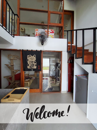 Comentarii opinii despre Cat cafe RUMAH KUCING FREYA