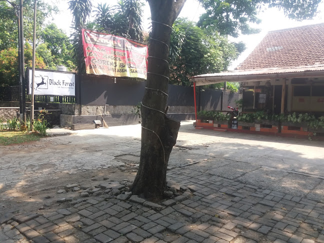 Comentarii opinii despre Black forest cinere