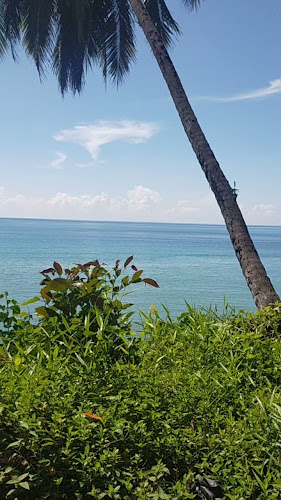 Opinii despre Gunung Sitoli în Kota Gunungsitoli - Gastronomi dan perhotelan