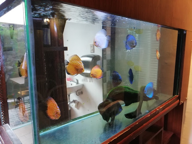 Koi Cafe - Kota Pematang Siantar