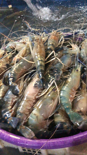 QWVP+8X3, Jl. Halmahera, Pahandut, Kec. Pahandut, Kota Palangka Raya, Kalimantan Tengah 73111