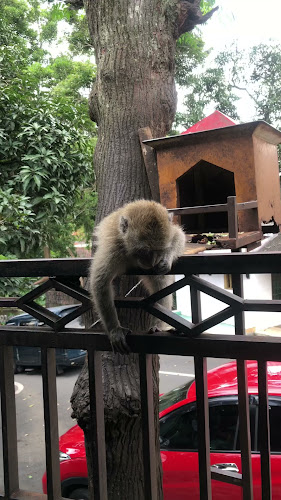 GETHUK KETHEK “SATU RASA” 2 - Gastronomi dan perhotelan