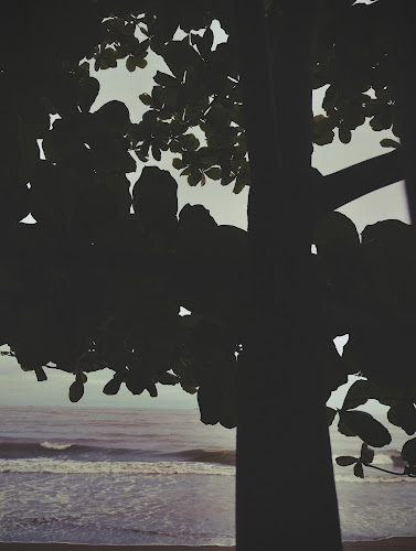 Opinii despre Waroeng Mami Papi în Kota Padang - Gastronomi dan perhotelan