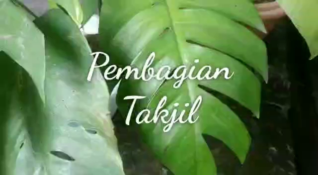 Eater's Box Id - Kota Ternate