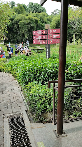 Jl. Rancabentang No.30-32, Ciumbuleuit, Kec. Cidadap, Kota Bandung, Jawa Barat 40142