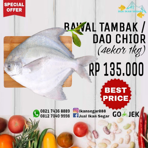 IKAN SEGAR 888 BATAM - Gastronomi dan perhotelan