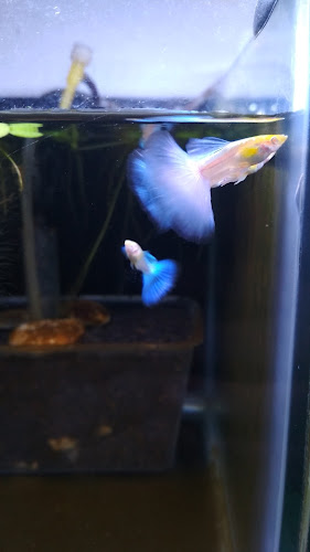 Jl. Bank Raya VII, Lorok Pakjo, Kec. Ilir Bar. I, Kota Palembang, Sumatera Selatan