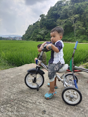 Opinii despre Lapau nasi Da Man Tapi Sawah în Kota Bukittinggi - Gastronomi dan perhotelan